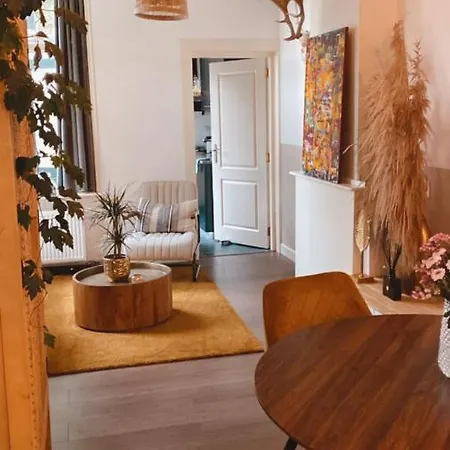 Lejlighed Cosy 2-onder-1 Kap In Historisch Centrum